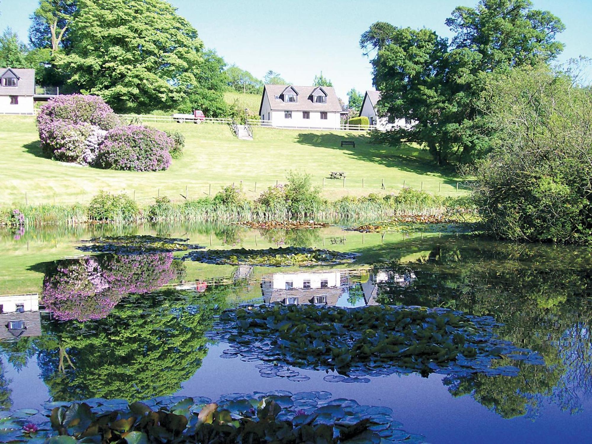 Trebah - B5623 Saint Cleer